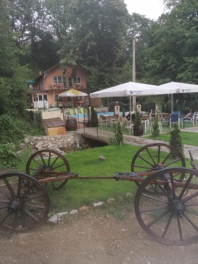 Casa De Vacanta Emd Ieşelniţa 외부 사진