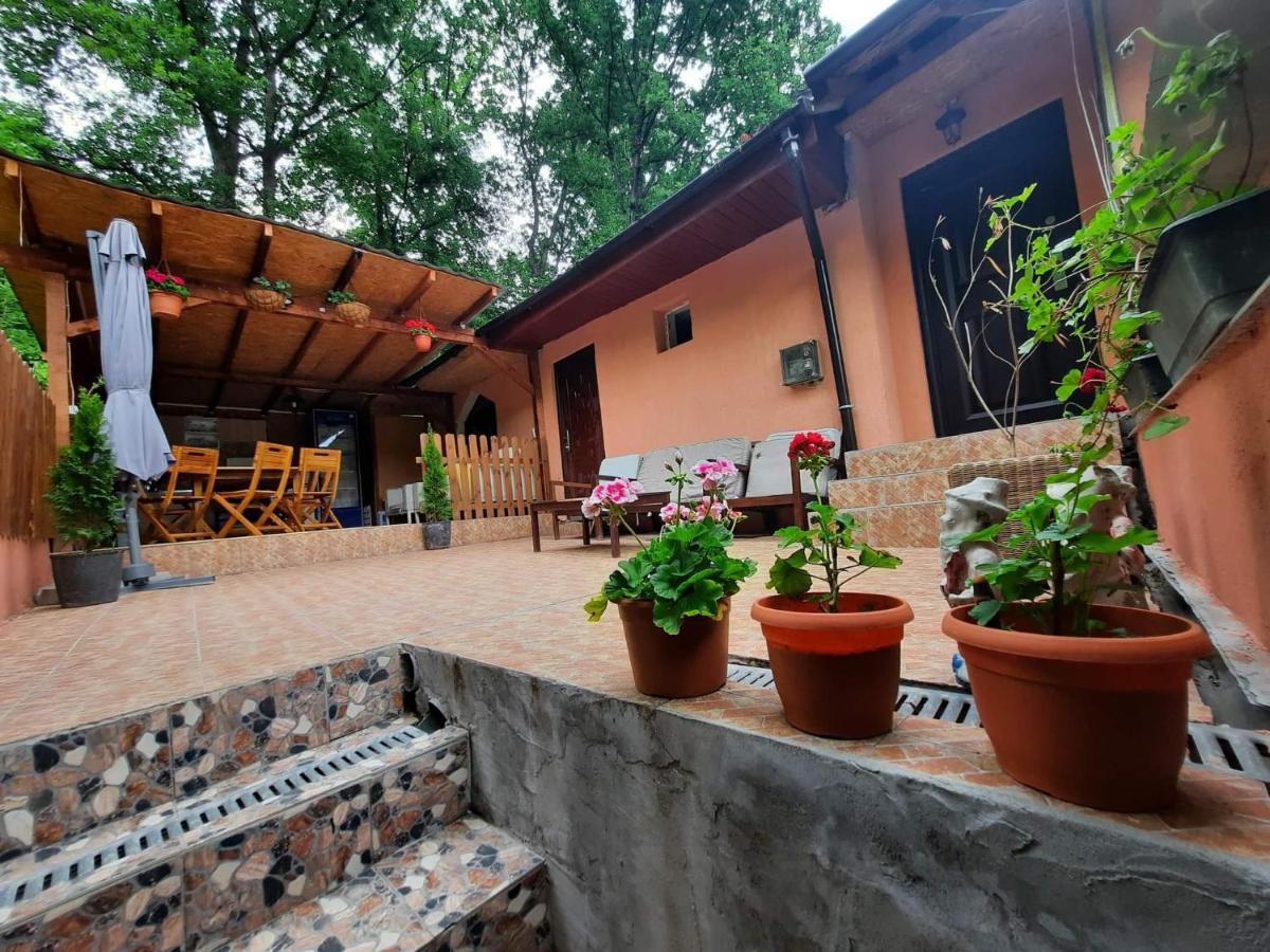 Casa De Vacanta Emd Ieşelniţa 외부 사진
