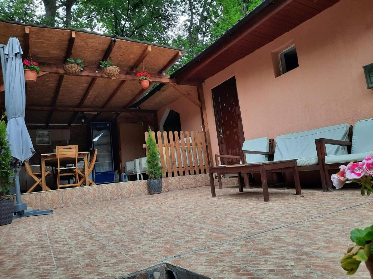 Casa De Vacanta Emd Ieşelniţa 외부 사진