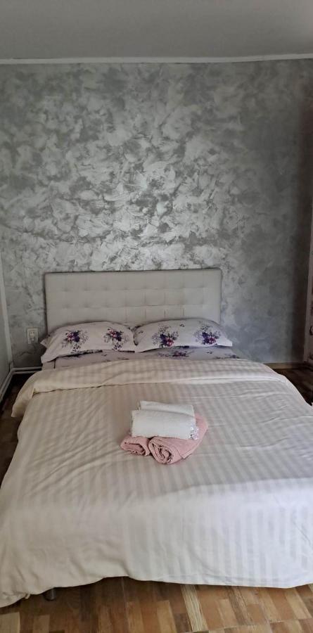 Casa De Vacanta Emd Ieşelniţa 외부 사진