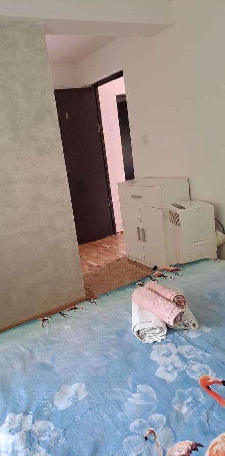 Casa De Vacanta Emd Ieşelniţa 외부 사진