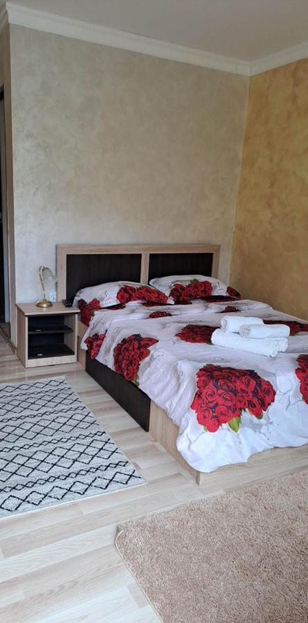 Casa De Vacanta Emd Ieşelniţa 외부 사진