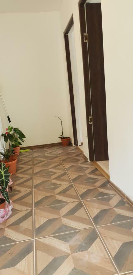 Casa De Vacanta Emd Ieşelniţa 외부 사진